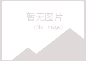 龙岩从彤服务有限公司